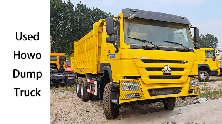 LHD Used Howo 10 Wheeler Dump Truck for Sale in Philippines, Naga